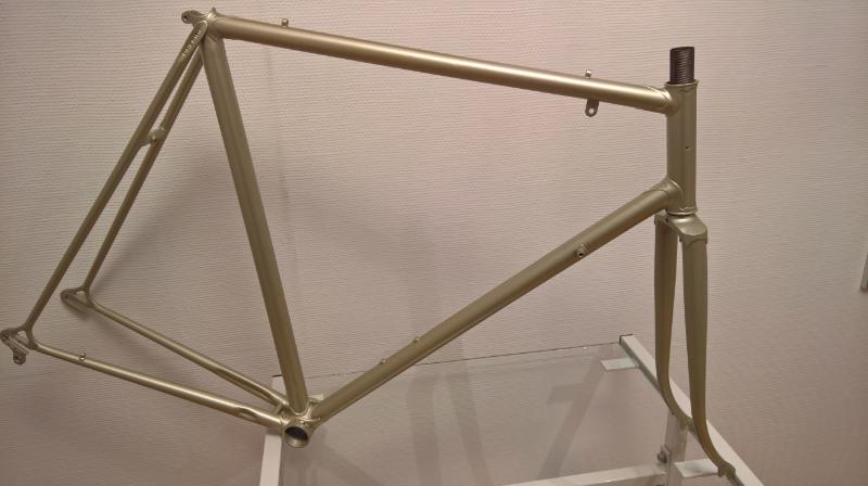 Vintage Project Chesini frame