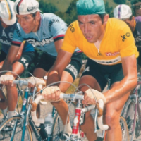 Eddy Merckx lost his bike page 1